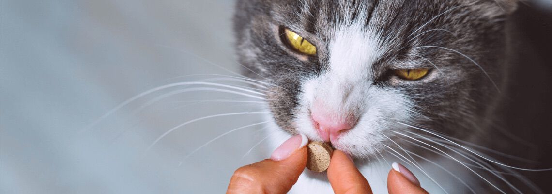 [paste advice page name here]